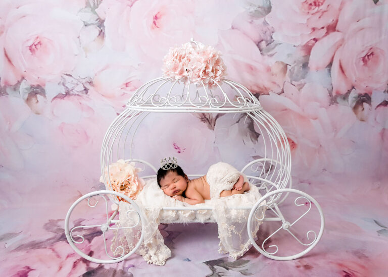 Newborn princess photo